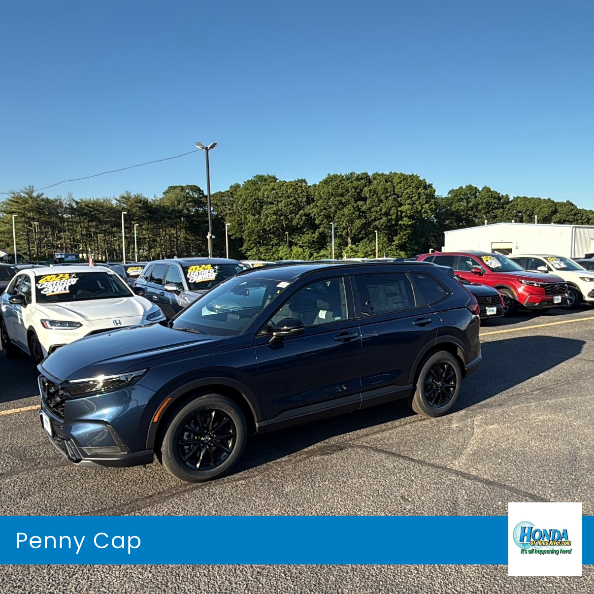 Penny Cap